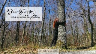 🌿 TreeHugging 🌿  cosè e come si pratica [upl. by Lyrpa145]