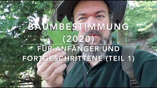 Baumbestimmungskurs 2020 Teil 1 [upl. by Marta325]