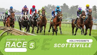 20240818 Hollywoodbets Scottsville Race 5 won by PARMENION [upl. by Marlowe]