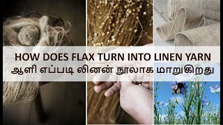 LINENHOW DOES FLAX TURN INTO LINEN YARNRETTING BREAKING SCUTCHING HACKLING amp SPINNING IN TAMIL [upl. by Malek936]