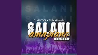 Salani Remake feat Dj Veecool amp Fanash Beats [upl. by Cayser]