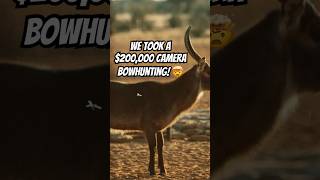 We Took A 200000 Camera Bowhunting 🤯  BEAST BROADHEAD  slowmotion archery africa slomo [upl. by Steffin]