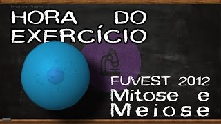 Mitose e meiose  FUVEST 2012 [upl. by Grishilde992]