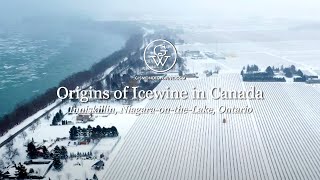 Inniskillin How Icewine Began in Canada [upl. by Alejna]