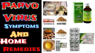 Parvo Virus symptoms and home remedies [upl. by Metzgar]