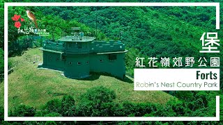 《發現紅花嶺郊野公園  堡》Forts [upl. by Akin984]