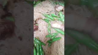 pancit bihon yummy deliciousfood [upl. by Squire902]