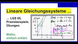 Lineare Gleichungssysteme LGS 05 Praxisbeispiele und Hausaufgabe [upl. by Nosnek]