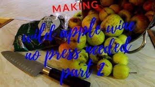 wild apple wine recipe no press needed part 2 [upl. by Dennett894]