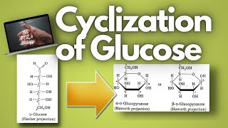 A simple explanation on the process of cyclization of glucose [upl. by Avie166]