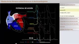 Efectos de los Fármacos Antiarrítmicos en el Electrocardiograma [upl. by Marcelle457]