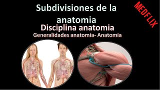 Subdivisiones de la anatomía  Generalidades Anatomia  Anatomia [upl. by Merola]