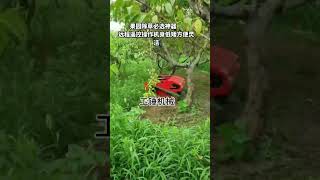 Lawn shredder Orchard weeding Weeding artifact Weeding machine manufacturer Remote control lawn [upl. by Adnohsek]