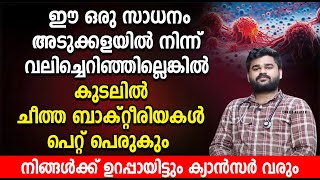 ഈ ഒരു സാധനം അടുക്കളയിൽ നിന്ന് വലിച്ചെറിഞ്ഞില്ലെങ്കിൽ കുടലിൽ ചീത്ത ബാക്റ്റീരിയകൾ പെറ്റ് പെരുകും [upl. by Adey]