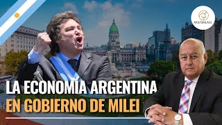 Economía argentina en gobierno de Javier Milei [upl. by Iznil]