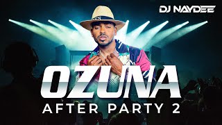 Ozuna Mejores Canciones Mix 2021  2017  Tiempo Despeinada Taki Taki  After Party 2  Dj Naydee [upl. by Quartet379]