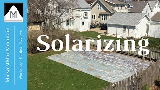 How to Solarize Your Garden for Weed Prevention [upl. by Mendez]