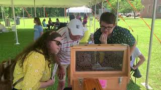 Honeybee Festival in LaFayette Georgia [upl. by Ayatnohs673]