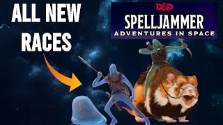 The 6 New DampD 5E Spelljammer Races EXPLAINED  Spelljammer Lore [upl. by Hakaber]