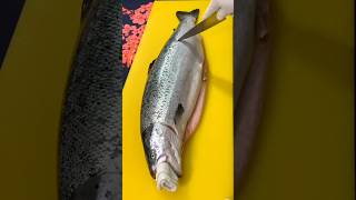 Cutting Whole Fresh Salmon Fishshorts [upl. by Brass]