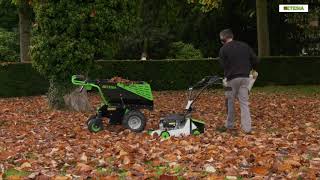 Etesia PRO 46 PHTS3 Pedestrian Mower in Action [upl. by Nosyd396]