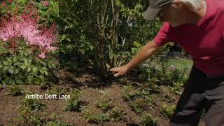 INSTALLING A PIET OUDOLF GARDEN PART 3 Episode 53 [upl. by Elberta335]