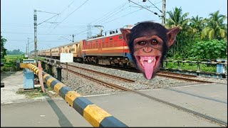 Dangerous Chimpanzee Headed Intercity Express Furious Moving Throughout At Railgate [upl. by Eulalia]