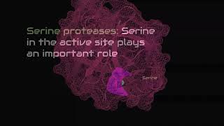 Trypsin Structure  Function  Education  Biochemistry  Basic Science Series [upl. by Adlin]