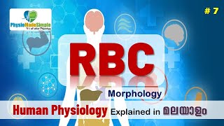 Ep7  RBC  Morphology  Malayalam [upl. by Aihsyak704]