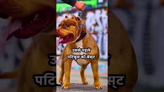 Pitbull vs cane corso fight 😨🔥 shortvideos viral dogs pitbull [upl. by Llesig]