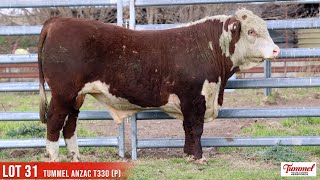 LOT 31 TUMMEL ANZAC T330 P [upl. by Dimitry]