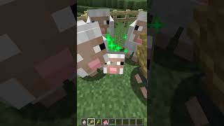 Simple Sheep Farm A Beginners Guide to Wool Harvesting MinecraftSheepFarm WoolHarvesting [upl. by Brooks]