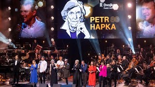 Štěpán Kozub přezpíval megahit Petra Hapky Kocour se schoulil na tvůj klín [upl. by Mehcanem]