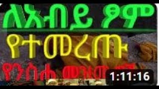 new orthodox Mezmur 2022 Zelesegna begena mezmur  የፆም መዝሙራት ዘለሰኛ  Yetsom Mezmurat [upl. by Chadd817]