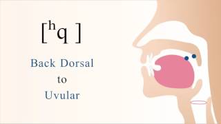 ʰq  unvoiced back dorsal uvular preaspirated stop [upl. by Emmey]