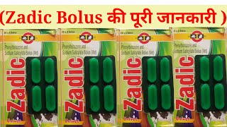 Zadic bolus की पूरी जानकारी पशुओ मे लंगड़ाहट और colic pain की जबरजस्त दवा [upl. by Beverlee550]