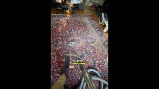 ✅ Follow a day in the life of a carpet cleaner in Bucks County PA carpetcleaning buckscounty [upl. by Yssak]