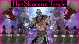 Analyzing the Skooma Trade in Skyrim  Skyrim Surveyors [upl. by Daryle]