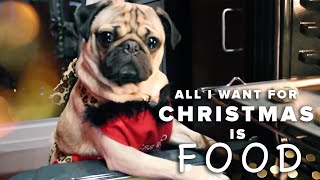 All I Want For Christmas Is Food  Doug The Pug [upl. by Adile]