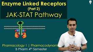 Enzyme Linked Receptor part 2 JAK STAT Pathway  Non Receptor Tyrosine Kinase [upl. by Gnuj]