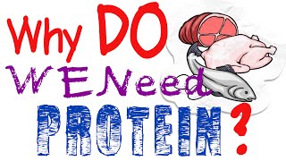 Why Do We Need Protein Why Is Protein Important [upl. by Jahdiel]