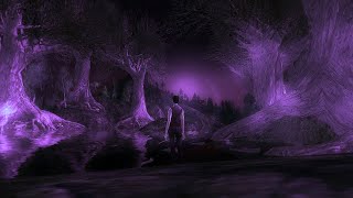 Hypnotic Violet Dream River Forest Night  Ambient Sound amp Music  LOTRO Fishing [upl. by Ramoh135]