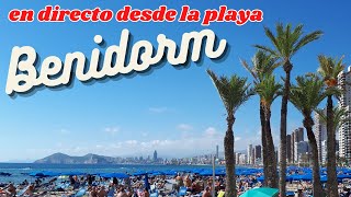 BENIDORM EN VIVO 🇪🇸 CÁMARA 2 🇪🇸 Transmisión el 5 de diciembre de 2024 2 [upl. by Rahr113]