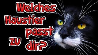 Welches Haustier passt zu dir [upl. by Anjela]