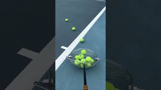 Tennis Ball Elite Easy Court Collection for the Discerning Player tennisball tennisracket [upl. by Ennahteb]