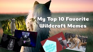 My Top 10 Favorite Wildcraft Memes Credits In description Part 1 [upl. by Eekram]