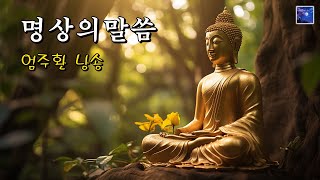 명상의말씀 🌸 지혜의 등불 중에서 지장경 한글 무인도의 두형제 꺼지지 않는 등불 과거생을 본 비구니 침묵의 가르침 중에서 원문 장엄염불  엄주환 낭송 [upl. by Gabbey]