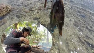 TOMBAK IKAN LANGSUNG DI BAKAR [upl. by Rudin]