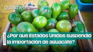 ¿Por qué Estados Unidos suspendió la importación de aguacate desde Michoacán [upl. by Niassuh231]