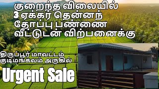 குறைந்த விலையில் 3 ஏக்கர் தென்னந்தோப்பு பண்ணை வீட்டுடன் விற்பனைக்கு coconutfarm sale with farmhouse [upl. by Anaiek]